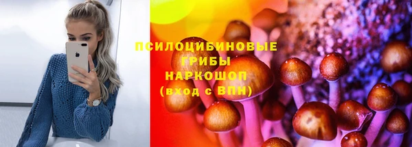 гидропоника Елизово
