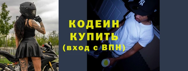 хмурый Дмитровск
