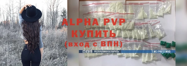 хмурый Дмитровск