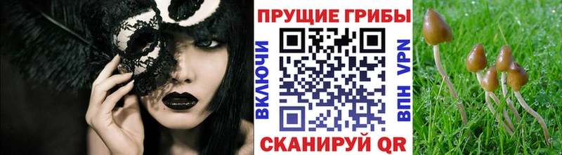 Галлюциногенные грибы Magic Shrooms  Купить закладки  Урюпинск 